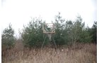 Property photo 68 - 37 Acres Offered in 4 Tracts
