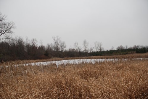 Property photo 45 - 37 Acres Offered in 4 Tracts