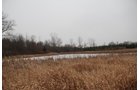 Property photo 45 - 37 Acres Offered in 4 Tracts