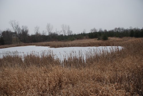 Property photo 50 - 37 Acres Offered in 4 Tracts