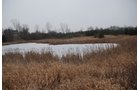 Property photo 50 - 37 Acres Offered in 4 Tracts