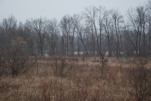 Property photo 84 - 37 Acres Offered in 4 Tracts