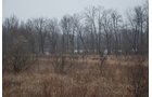 Property photo 84 - 37 Acres Offered in 4 Tracts