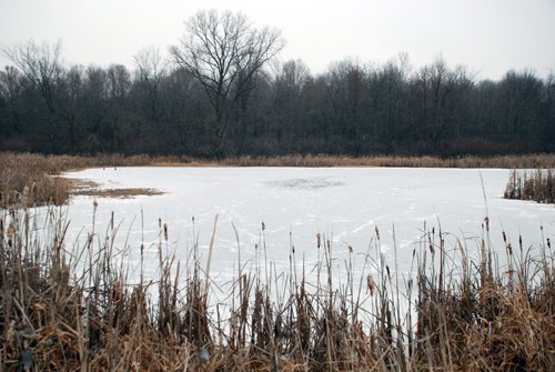 Property photo 83 - 37 Acres Offered in 4 Tracts