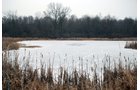Property photo 83 - 37 Acres Offered in 4 Tracts
