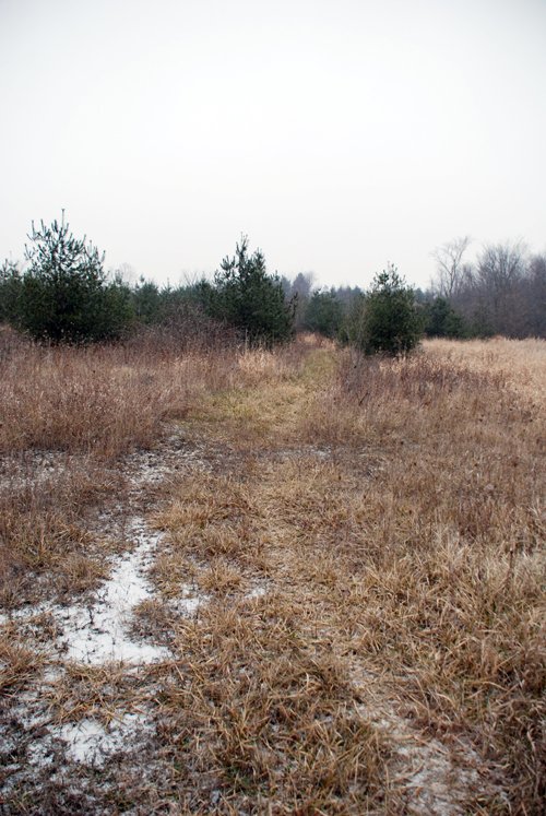 Property photo 27 - 37 Acres Offered in 4 Tracts