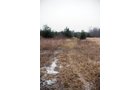Property photo 27 - 37 Acres Offered in 4 Tracts