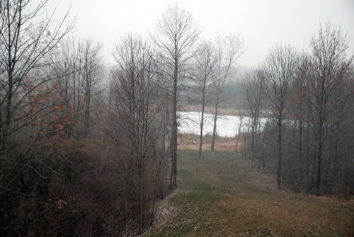 Property photo 73 - 37 Acres Offered in 4 Tracts