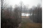 Property photo 73 - 37 Acres Offered in 4 Tracts