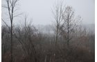 Property photo 75 - 37 Acres Offered in 4 Tracts