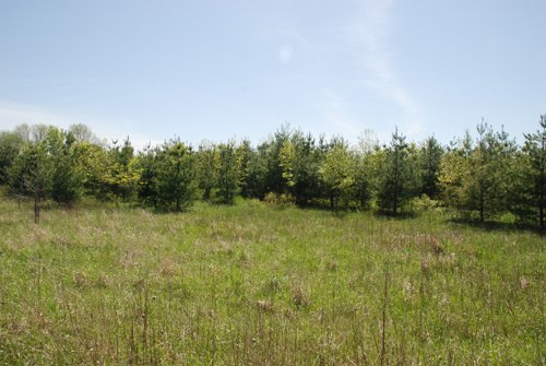 Property photo 22 - 37 Acres Offered in 4 Tracts