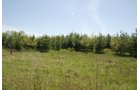 Property photo 22 - 37 Acres Offered in 4 Tracts