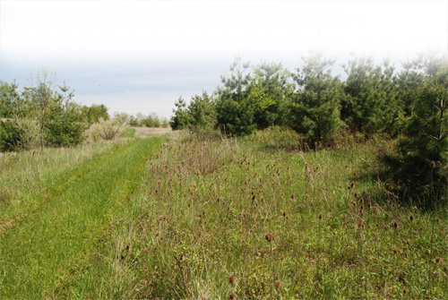 Property photo 89 - 37 Acres Offered in 4 Tracts