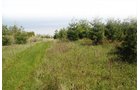 Property photo 89 - 37 Acres Offered in 4 Tracts