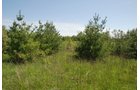 Property photo 40 - 37 Acres Offered in 4 Tracts
