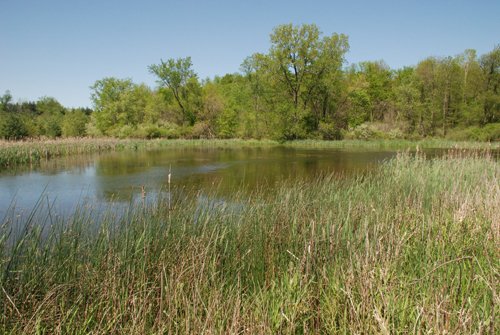 Property photo 62 - 37 Acres Offered in 4 Tracts