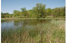 Property photo 62 - 37 Acres Offered in 4 Tracts