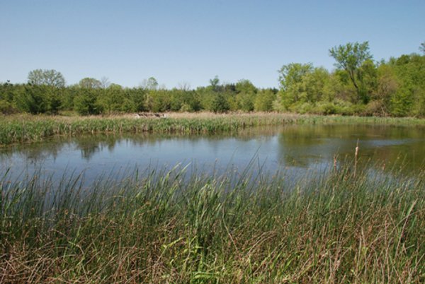 37 Acres Offered in 4 Tracts