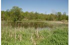 Property photo 18 - 37 Acres Offered in 4 Tracts