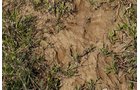 Property photo 13 - 37 Acres Offered in 4 Tracts