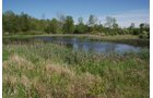 Property photo 16 - 37 Acres Offered in 4 Tracts
