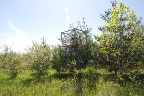 Property photo 64 - 37 Acres Offered in 4 Tracts
