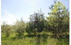 Property photo 64 - 37 Acres Offered in 4 Tracts