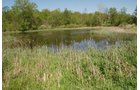 Property photo 74 - 37 Acres Offered in 4 Tracts