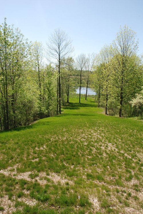 Property photo 66 - 37 Acres Offered in 4 Tracts