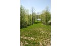 Property photo 66 - 37 Acres Offered in 4 Tracts