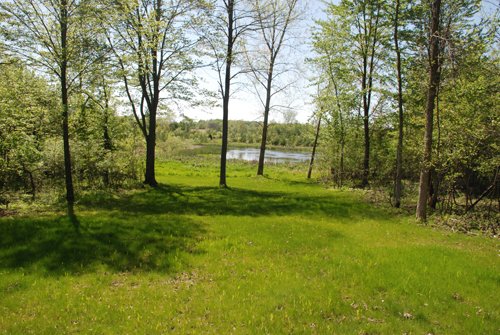 Property photo 44 - 37 Acres Offered in 4 Tracts