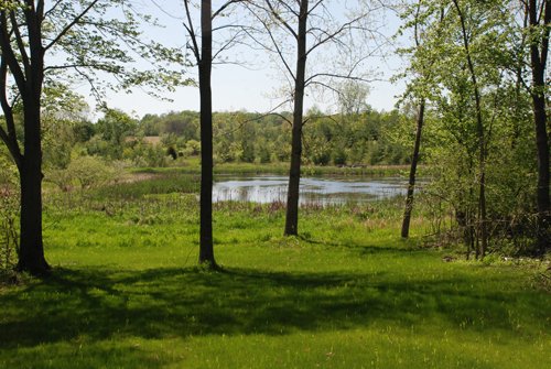 Property photo 49 - 37 Acres Offered in 4 Tracts