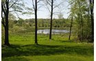 Property photo 49 - 37 Acres Offered in 4 Tracts