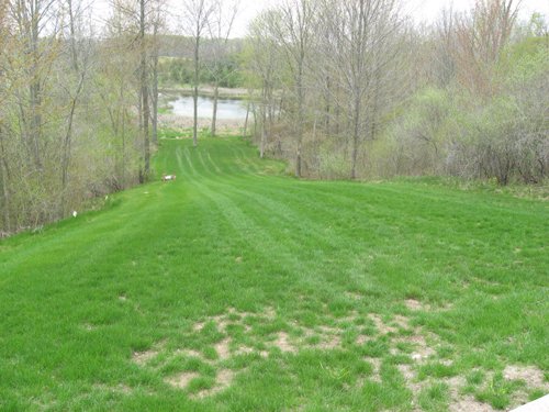 Property photo 4 - 37 Acres Offered in 4 Tracts