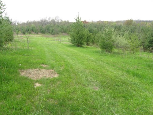 Property photo 29 - 37 Acres Offered in 4 Tracts