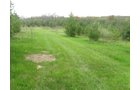 Property photo 29 - 37 Acres Offered in 4 Tracts