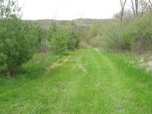 Property photo 59 - 37 Acres Offered in 4 Tracts