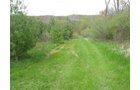 Property photo 59 - 37 Acres Offered in 4 Tracts
