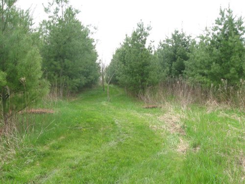 Property photo 72 - 37 Acres Offered in 4 Tracts