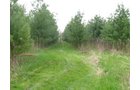 Property photo 72 - 37 Acres Offered in 4 Tracts
