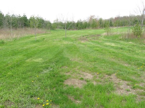 Property photo 39 - 37 Acres Offered in 4 Tracts