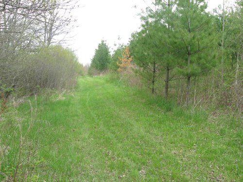Property photo 21 - 37 Acres Offered in 4 Tracts