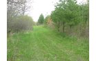 Property photo 21 - 37 Acres Offered in 4 Tracts