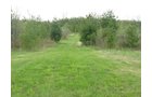Property photo 76 - 37 Acres Offered in 4 Tracts