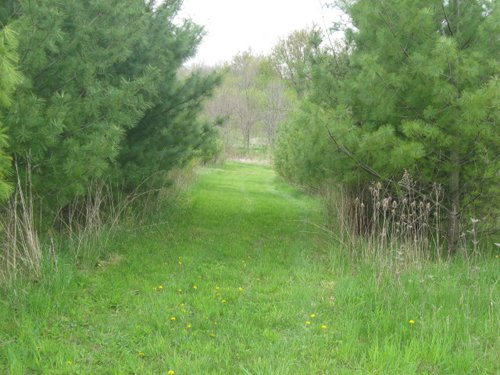Property photo 26 - 37 Acres Offered in 4 Tracts