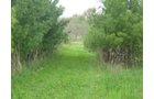Property photo 26 - 37 Acres Offered in 4 Tracts