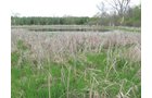 Property photo 5 - 37 Acres Offered in 4 Tracts