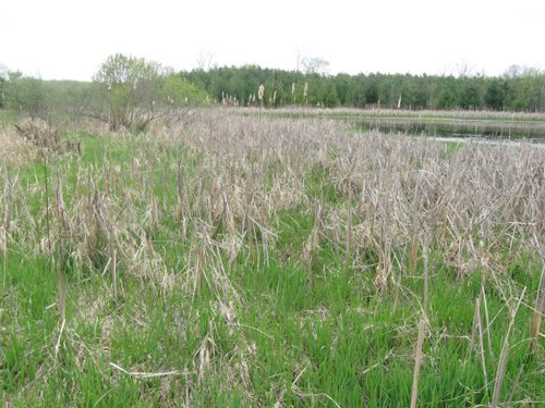 Property photo 15 - 37 Acres Offered in 4 Tracts