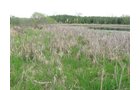 Property photo 15 - 37 Acres Offered in 4 Tracts