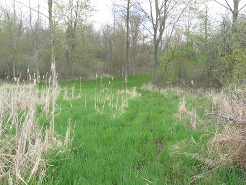 Property photo 51 - 37 Acres Offered in 4 Tracts